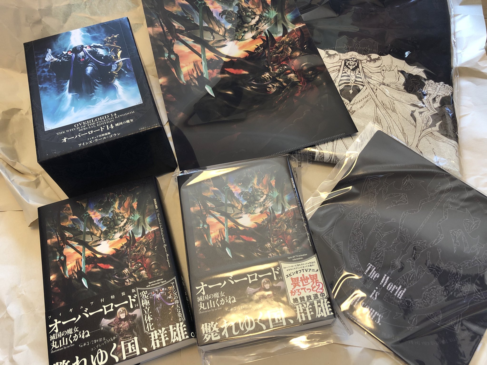 酢酸ヨウ素液 オーバーロード最新刊届きました 神に祈りながら読みます T Co Nscwv9duqz Twitter