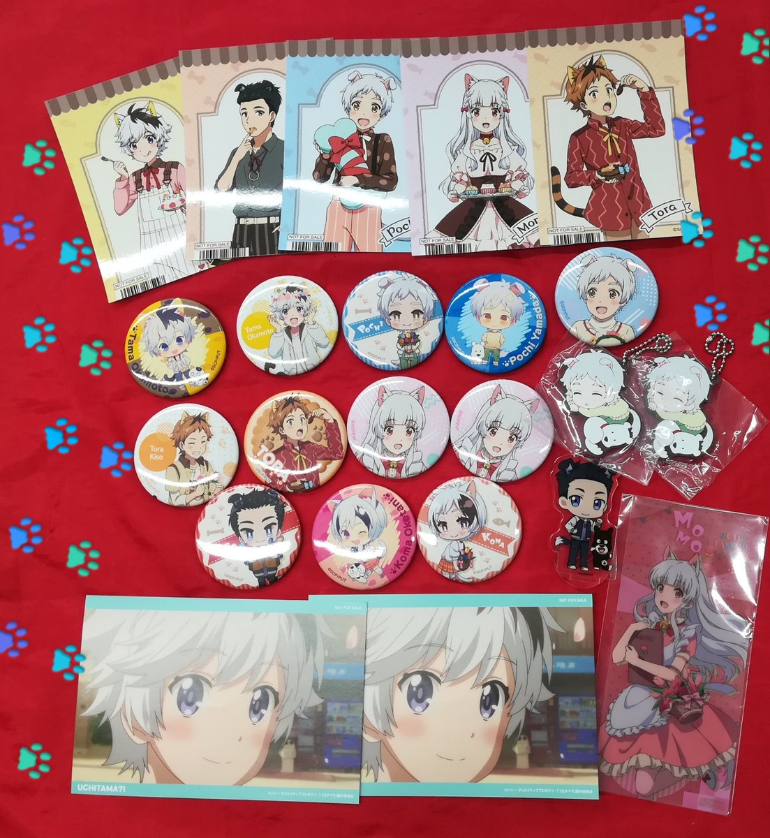 ট ইট র K Books キャラ館 少年まんが 可愛いの大渋滞 尊い ﾉw おもちkaeლ ლ D 彡 D ﾊﾟｰﾝ うちタマ よりグッズが入荷です お客様は是非お迎え下さい Kbooks アニメ館