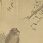 main image of this resource