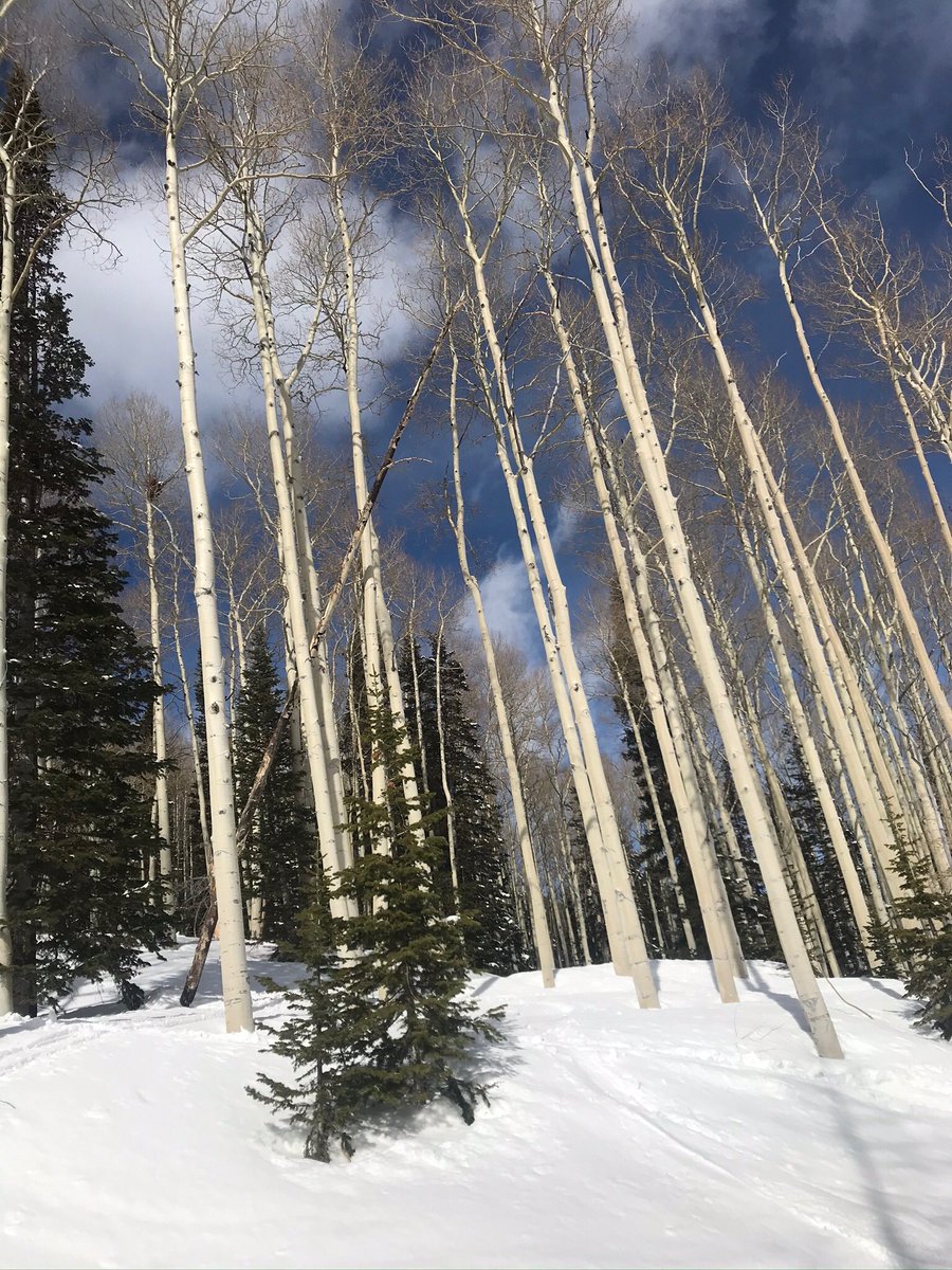 Eric Reische (@ericreische) on Twitter photo 