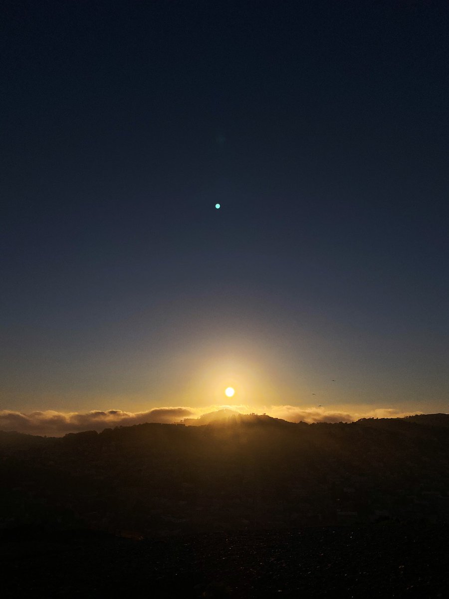 Peter Herbert Barnaba tweet media