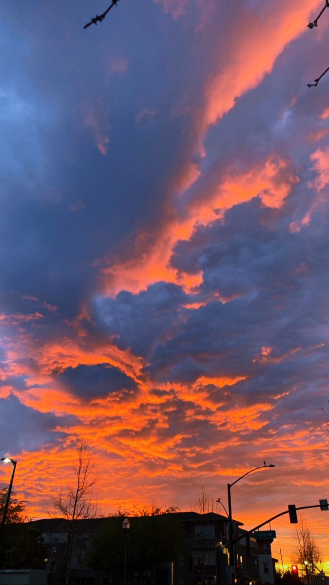 Peter Herbert Barnaba tweet media