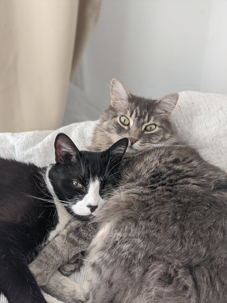 Dan Fallon tweet media