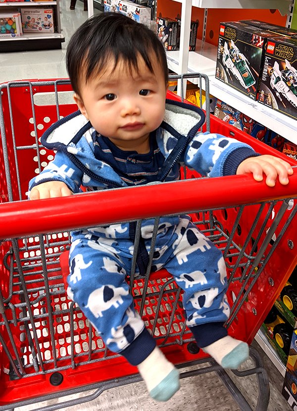 WigglyNibbles's tweet photo. Look!  No hands--well, um, I can sit up in the cart by myself. 🥰

It's a little scary when the cart moves and I'm not expecting it but I got good muscle control.  Hehe.

Should I look more like an elephant?  Whadya think?

#9monthsold #wigglynibbles #sittingup #TARGET https://t.co/TRqED4Muy8