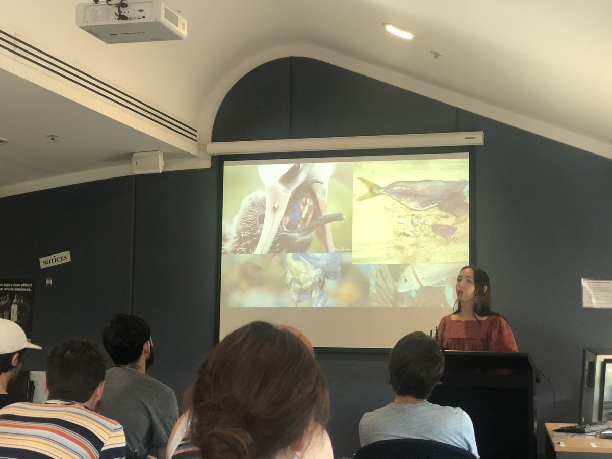 sophdolling's tweet photo. Well done to #GillandersLab honours students @lucyywoodd_ and @BenDAntonio2 on fantastic initial seminars! Really looking forward to seeing where your research goes, great work team! #scicomm @UniAdelSciences @UniofAdelaide #MarineBiology https://t.co/5RRFc8NMrE