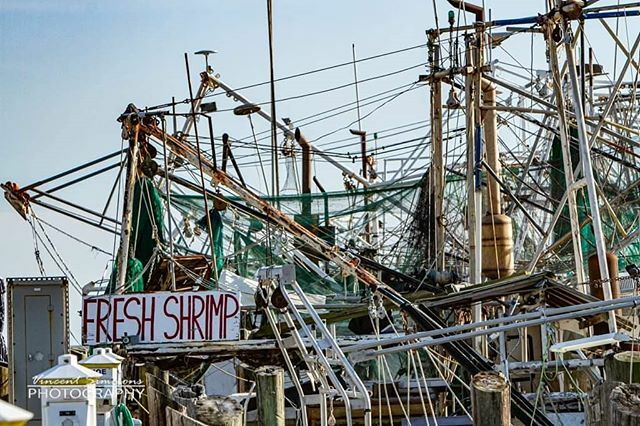 #vincentsimmonsphotography #canon7d #onetimeinnola #biloxi #biloximississippi #biloxibeach #shrimpers #shrimpboat ift.tt/338xBOz