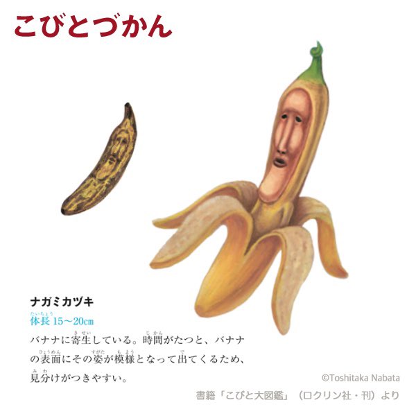 新型コロナによる無料提供 幼児 ３歳 ４歳 におすすめ９選 Miz