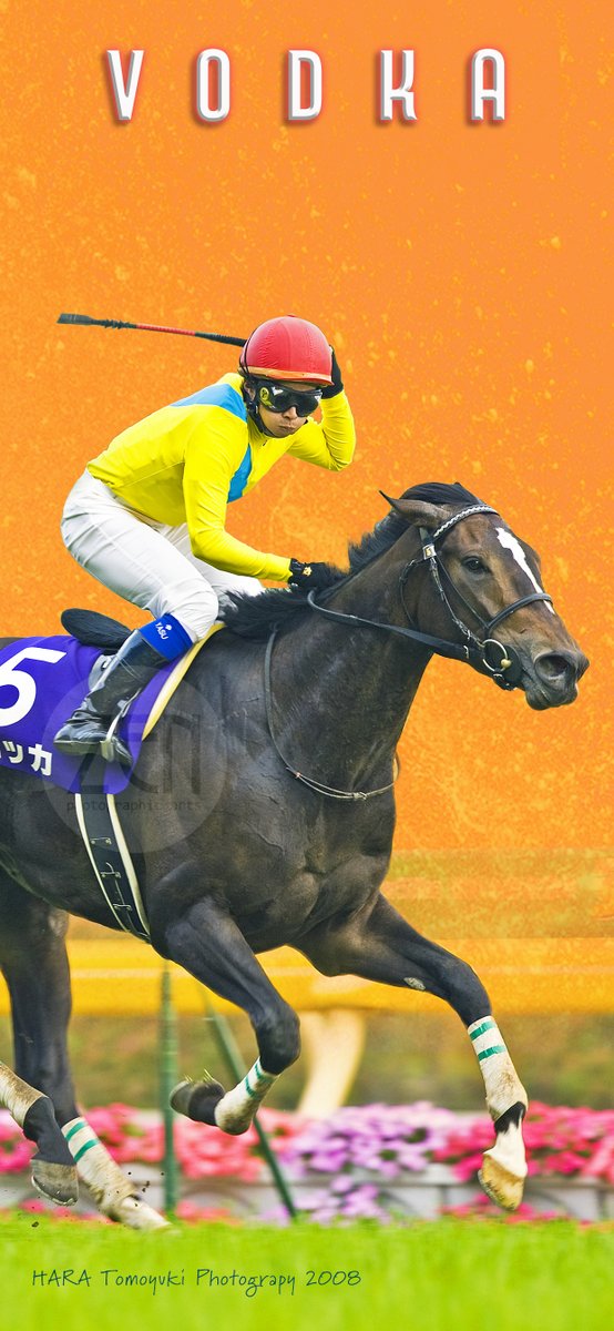 競馬 ウォッカ フォト 報知 原カメ on X: