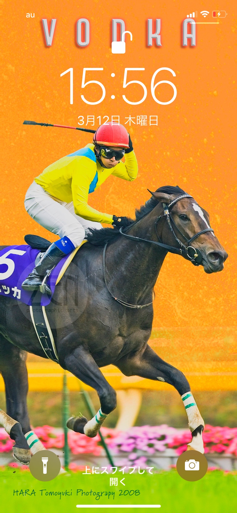 競馬　ウォッカ　フォト　報知 競馬 ウォッカ フォト 報知 250px-Vodka(horse)_20070527R1.jpg