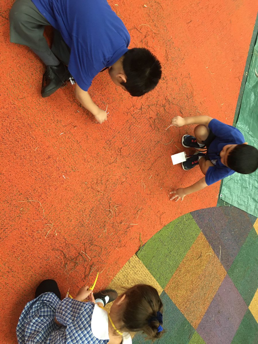 merrylandseast's tweet photo. Kindergarten learn to collect material with their “beaks” to build a birds nest! @NSWEducation @LongneckLagoon last pair in pics were not confident their design would be successful as it was different to others! Result? Success! ✔️👍👏 https://t.co/CWyZ4nJ8vp
