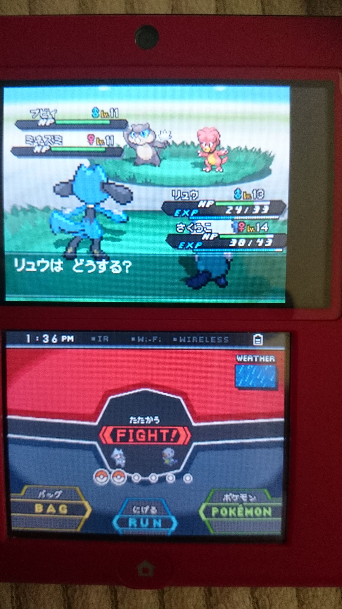 珈琲 ブラック2 でポケセン封鎖やってたら 濃い草むらでミネズミ色違い出た 確かうんこちゃんルールだと色違い出たら捕まえないとリセット だったけど それだとブビィ殺さなきゃいけないんだが まさかリセット T Co Tdi6nxxvmi Twitter
