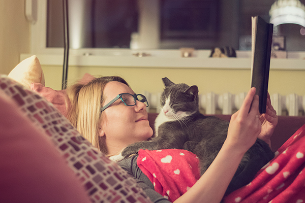 MiddletownVets's tweet photo. Does your cat seem to have a lot to say at night? This is not uncommon. Learn possible reasons why and how to help quiet your chatty kitty:  https://t.co/55FLGLn9bZ https://t.co/vDWCzaFwPe