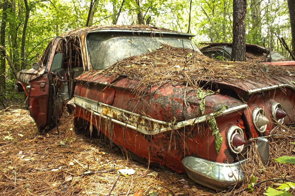 Брошенный мир машина. Старые заброшенные машины. Брошенные машины в лесу. Заброшенные машины в лесу. Древние заброшенные автомобили.