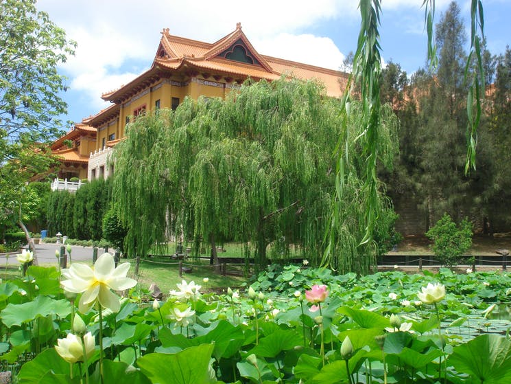 biofab2021's tweet photo. Another fun fact about Wollongong, host of #Biofab2020...

The Nan Tien Temple, located 10 minutes south of central Wollongong, is the largest Buddhist temple in the Southern Hemisphere.

Abstract submission closes on March 16: https://t.co/s6xz5fV7ga

@ARC_ACES @ISBioFab @UOW https://t.co/XE4IfslLa6