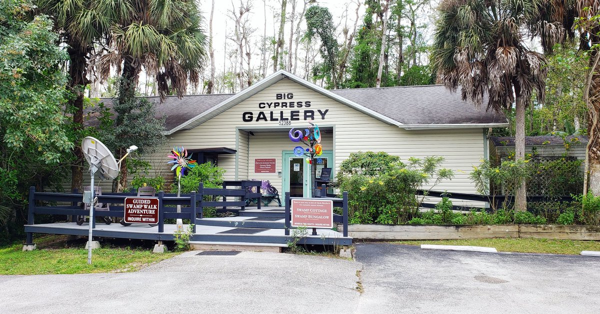 EricTaubert's tweet image. I love the Clyde Butcher Photography Big Cypress Gallery so much... Evocative and iconic photos presented in a stunning setting, deep in the middle of a glorious South Florida swamp teeming with alligators, turtles, and migratory birds...