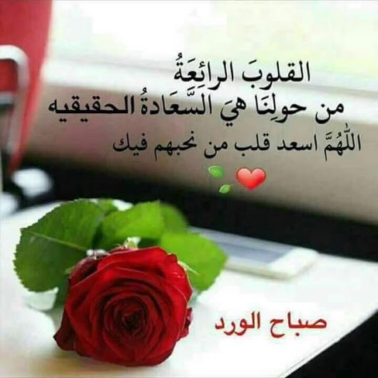 ابو بدر🇸🇦 (@bndar1188) on Twitter photo 