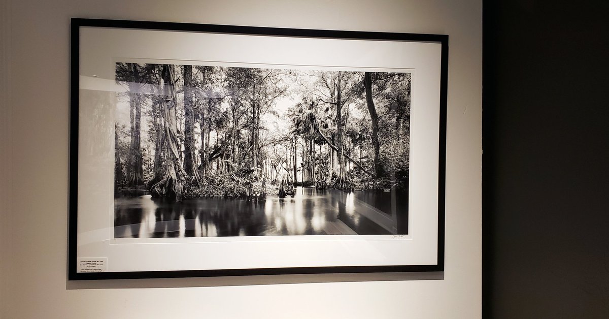 EricTaubert's tweet image. I love the Clyde Butcher Photography Big Cypress Gallery so much... Evocative and iconic photos presented in a stunning setting, deep in the middle of a glorious South Florida swamp teeming with alligators, turtles, and migratory birds...