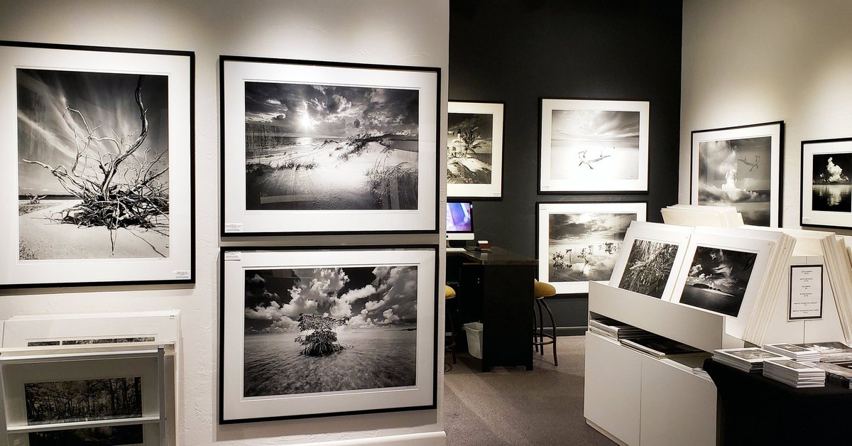 EricTaubert's tweet image. I love the Clyde Butcher Photography Big Cypress Gallery so much... Evocative and iconic photos presented in a stunning setting, deep in the middle of a glorious South Florida swamp teeming with alligators, turtles, and migratory birds...