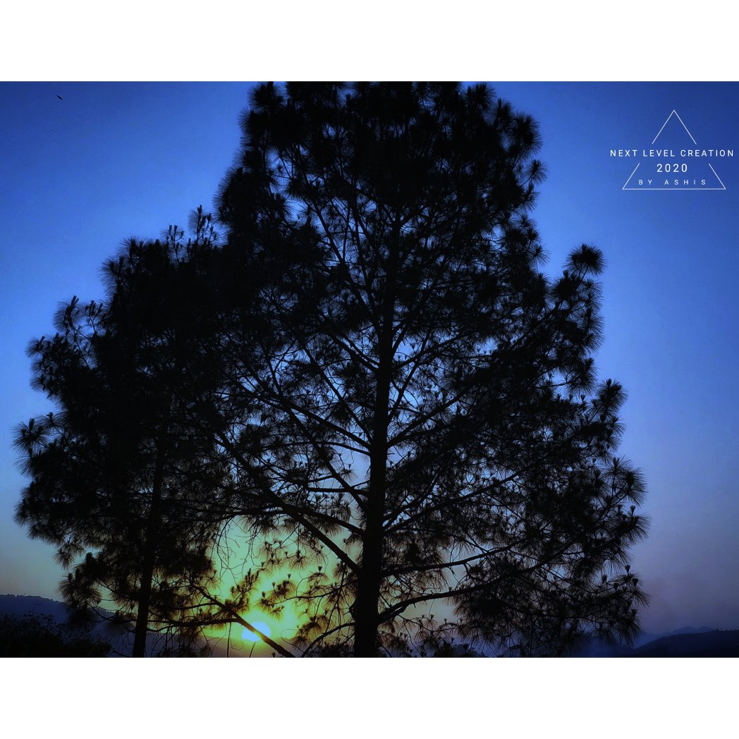 OnlineAshish's tweet photo. My mobile photography please support us and like and share it
#mobilephotography #landscapedesign #reflectionimages
#bestphotos
#mobilephotography #newart #ashishsingh #ashishofficiial #keypoint #shareit #internationart https://t.co/zxqCwlB5bU