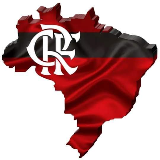 cleberj41's tweet photo. Outro patamar https://t.co/Woj2s7qPGr