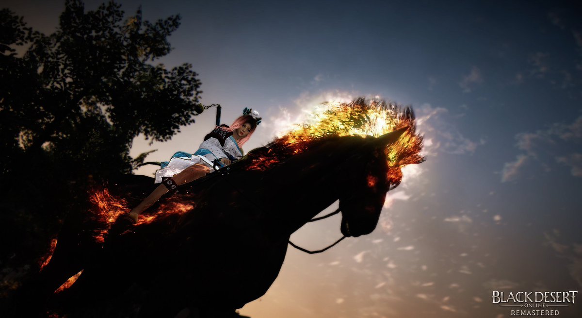 gmwoobdo's tweet photo. One day, I promise, you'll be mine 🔥🥰

📸 by Gumiwoo (ᴇᴜ) 

@BDO_News #blackdesert #blackdesertonline #bdoremastered #mmorpg #bdoeuna #bdotamer #bdocharacter #bdoscreenshots #dreamhorse #doom #globallab https://t.co/MelQPpvV53