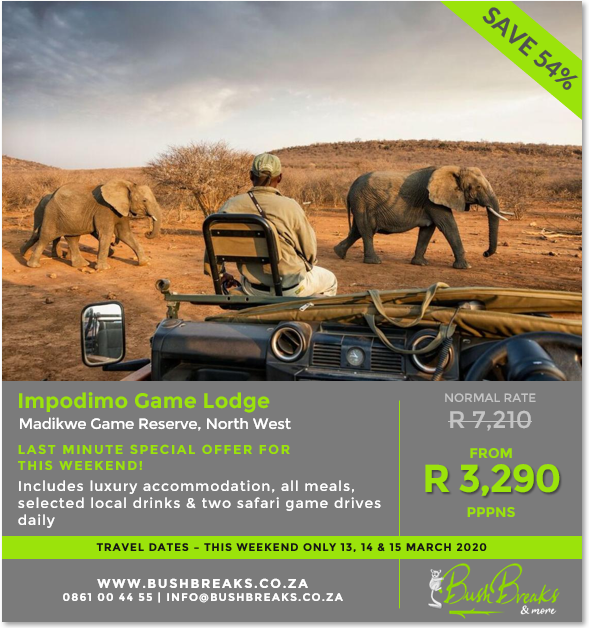 BushBreaks's tweet photo. LAST MINUTE #BUSHBREAK SPECIAL - THIS WEEKEND ONLY! Explore the beauty of SA from Impodimo Game Lodge in the Madikwe Game Reserve. Contact us now to book! 0861 00 44 55 / info@bushbreaks.co.za / https://t.co/GpgxD2kW25
#bushbreaks #madikwe #impodimo #traveldeals #shotleft https://t.co/hw58GfzaqY
