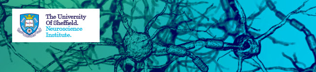 Sheffield Machine Learning Network tweet media