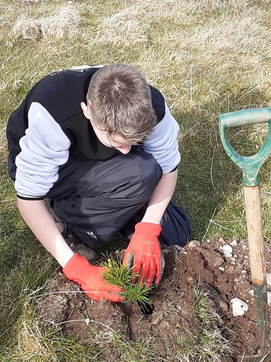 PerthAcademyOrganics tweet media