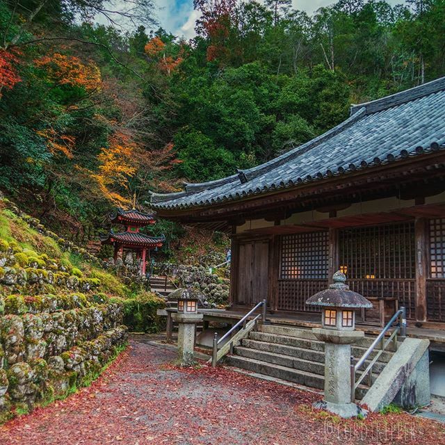 cordtripper's tweet photo. Otagi Nenbutsu-Ji temple in Arashiyama.
....
....
....
....
#post805 #cordtripper #asia #japan #arashiyama #landscape #hiking #buddhist #nenbutsuji #otagi #nature #scenic #traveling #travelcontent #travelphotography #stamped #artofvisuals #exploringtheglobe #wanderlust #trav… https://t.co/B2s0vjST5L