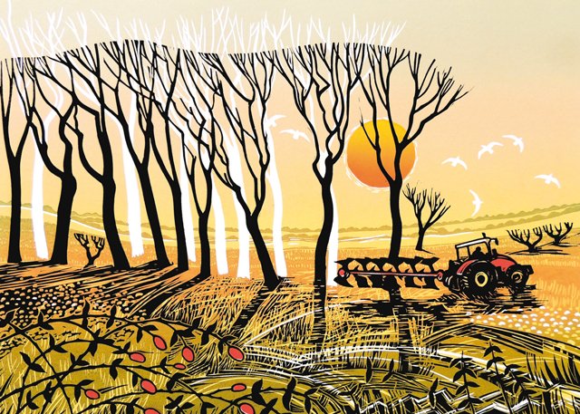 Green Pebble Cards tweet media