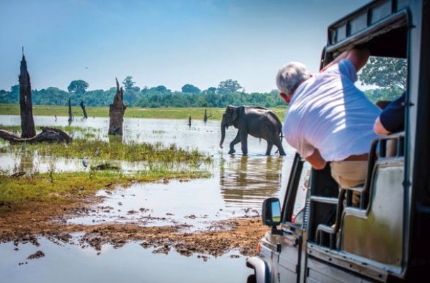 Adventure, solo travel and add-on experiences? These might not be what you would associate with travellers over 50, but we speak to industry experts to bust some mature traveller myths: travelweekly.co.uk/articles/36202… @SagaHolidaysUK <a href="/Shearings/">Shearings Holidays</a> <a href="/ArenaTravel/">Arena Travel</a>