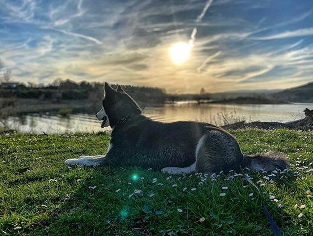 igersnavarra's tweet photo. ¡Vamos a por el jueves!
La foto es de @inigociordia ¡Disfrutad del día y seguid las recomendaciones de las autoridades sanitarias!

#igersnavarra #quehacerennavarra #conocenavarra #navarramente #naturephotography #sunsetphotography https://t.co/3mBgjtfhXT https://t.co/tv3VdepUZa