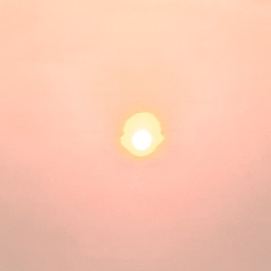 - 𝘀𝗲𝗮𝗵𝗼𝗹𝗶𝗰 🌊🌞 tweet media