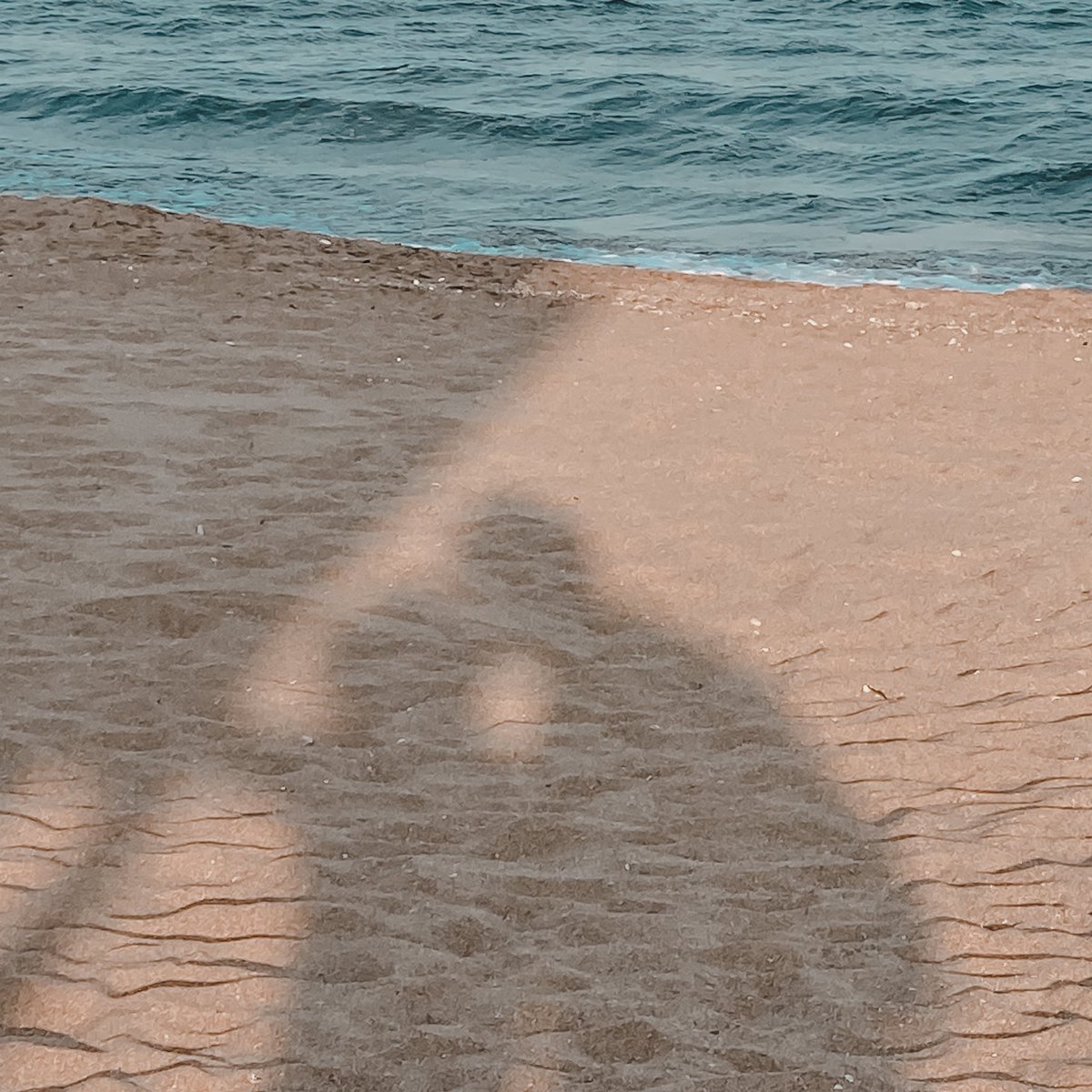 - 𝘀𝗲𝗮𝗵𝗼𝗹𝗶𝗰 🌊🌞 tweet media