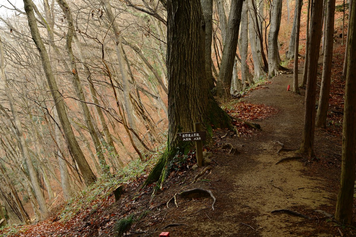 <a href="/MZ_80K2/">ザイログ80</a> 2020/03/05 陣馬山一ノ尾根コース　途中、小学校への分岐がある 藤野北小学校　ここは学校の裏山なんや！ なお今年の3学期で生徒数6学年合計で27名