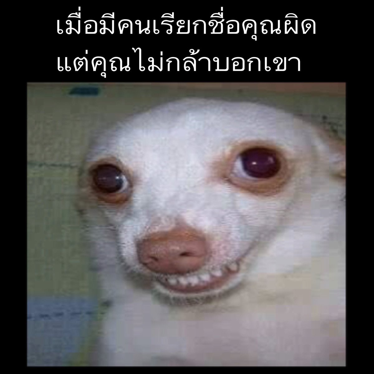 siriusKota's tweet photo. ต้องเข้าใจว่าคนเรามันมีหลงกันบ้าง555555555555555

#ชื่อเราอยู่ไหน https://t.co/1ocA1kxQXb