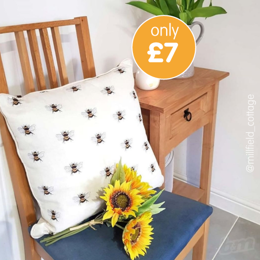 b&m bargains pillows