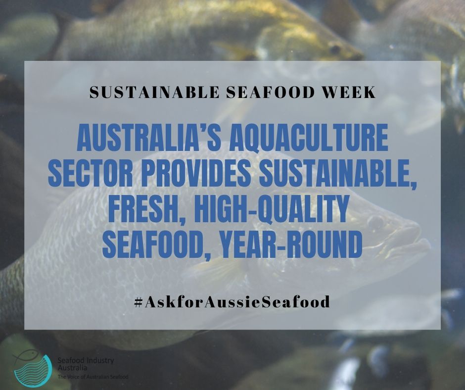 seafoodAUS's tweet photo. Support mandatory #CountryofOriginLabelling for seafood sold in the foodservice sector. It’s critical Australians can find and support Aussie seafood. #SustainableSeafoodWeek #AskforAussieSeafood https://t.co/Gzder4R1os