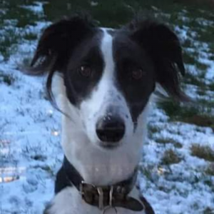 🐾Frazer_FFH🐾 tweet media