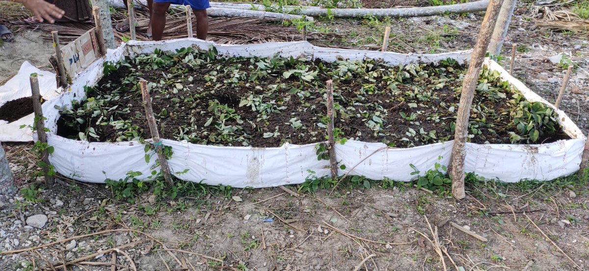 dir_rdpris's tweet photo. Demonstration and Construction of Vermi-Compost Pit in #CampbellBay block
HHs waste are being segregated and managed in Scientific manner for proper #SWM-G
#NewAndamans
#AmazingAndamans
#CleanAndamans https://t.co/icJFrViS2Y