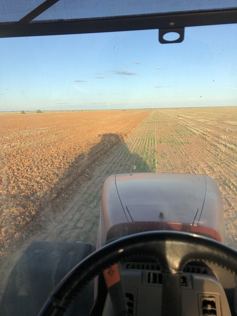 Things better than <a href="/JetstarAirways/">Jetstar Airways</a> #jetstarsucks #enjoyingit365