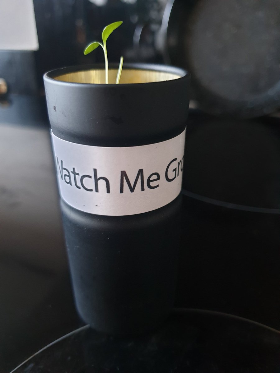 Developing blended learning materials to make sure we meet the needs of remote workers, workers on the move, and those with limited time so that they can  continue to grow in a way that suits them. #watchmegrow #fdmcareers #learning #blendedlearning #elearning #videos #gaming
