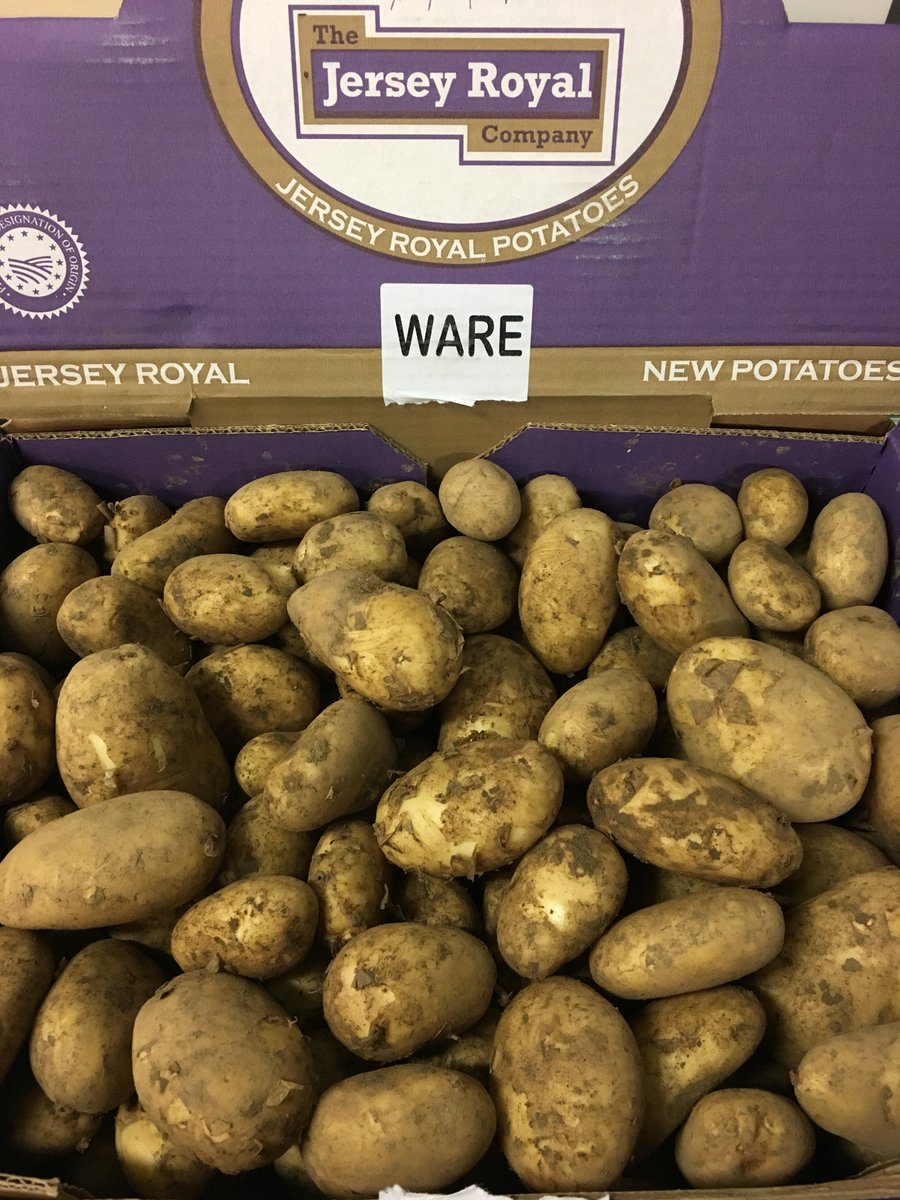jersey royal potatoes season 2020