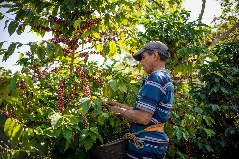 TopBrewer Ireland on Twitter "We source our premium coffee directly from our partner farms and