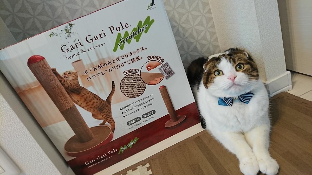 Marimo ソファーでの爪とぎ防止に ポール型の爪とぎを購入しました 思った以上にでかい 笑 使い方はすぐに覚えてくれたみたい ガリガリポールスクラッチャー