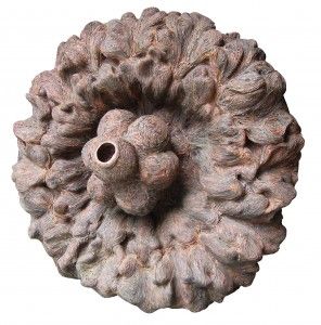 artshoppy's tweet photo. Sculptures by Tapas Biswas
https://t.co/DDmtARojs0
#tapasbiswas #artshoppy #sculptures #artwork #contemporaryworks #art #artist #figurative #figuresandportraits #flower https://t.co/hKKB2xt6Rv