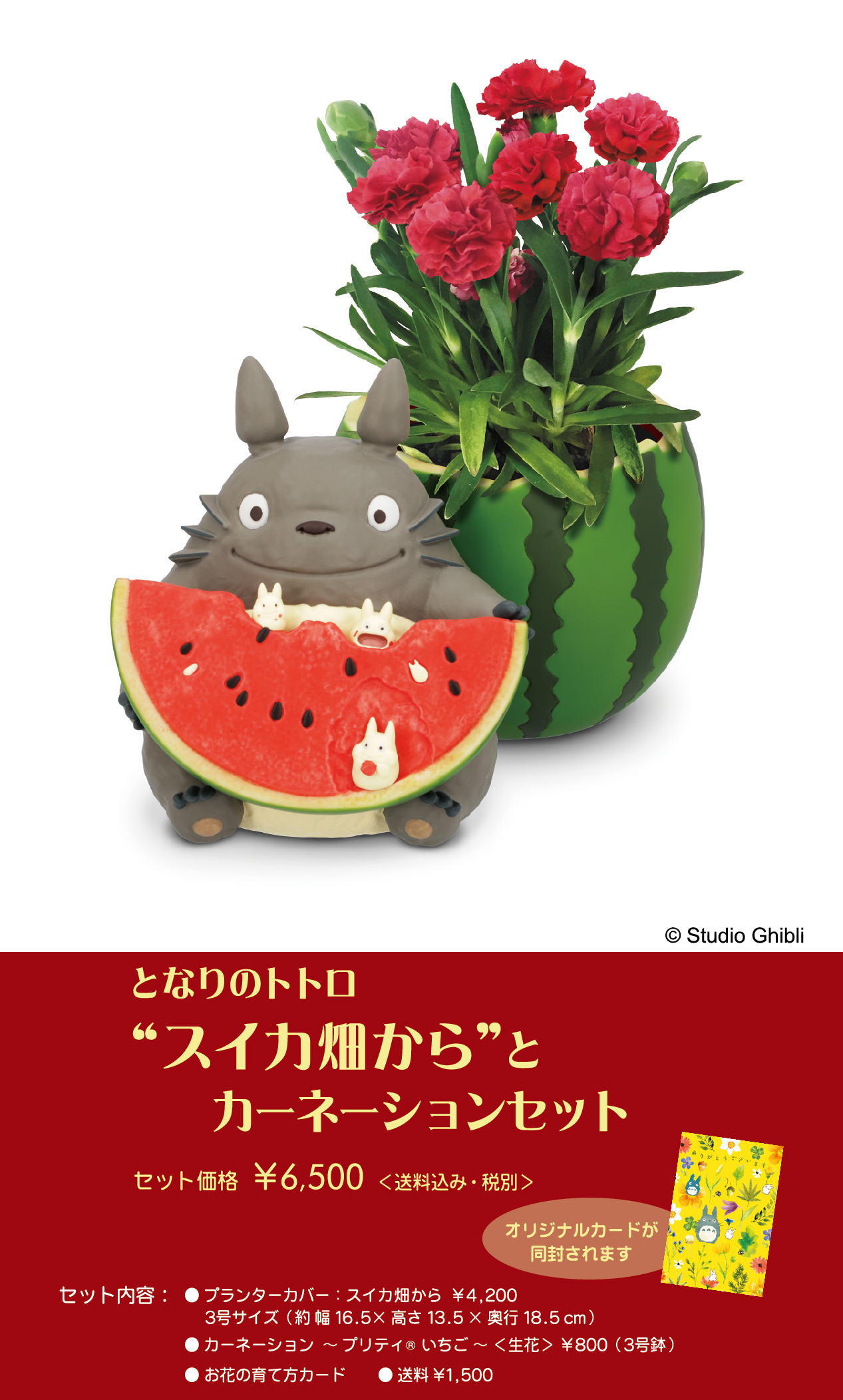 【どんぐり共和国】 となりのトトロ プランターカバー スイカ畑から【3号サイズ】 となりのトトロ プランターカバー スイカ畑から【3号サイズ
