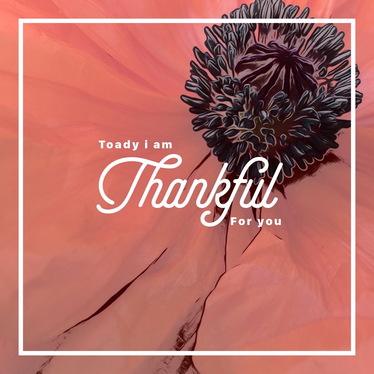 DJARCHarrison's tweet photo. Attitude of gratitude https://t.co/Ovy2O9iFjW