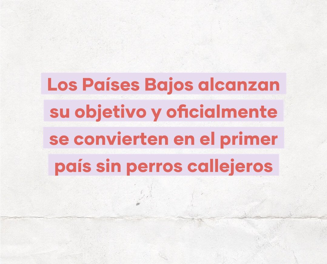 esdecirdiario's tweet photo. Noticias positivas que (quizás) no sabías y necesitas leer. https://t.co/1RIRBYw4fb