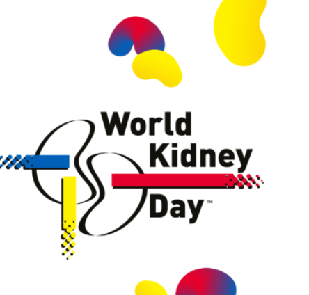 Aujourd'hui a lieu la #JournéeMondialeduRein #WorldKidneyDay 
L'occasion de rappeler qu'en France '11 000 personnes apprennent chaque année qu’elles souffrent d’une insuffisance rénale chronique terminale'
worldkidneyday.org